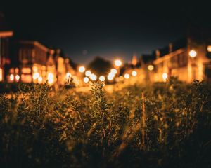 STADSFOTOGRAFIE ZWOLLE 13-5-2025-16