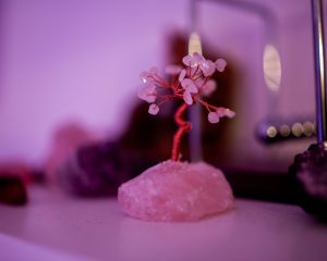 TESTFOTO'S 6D-29